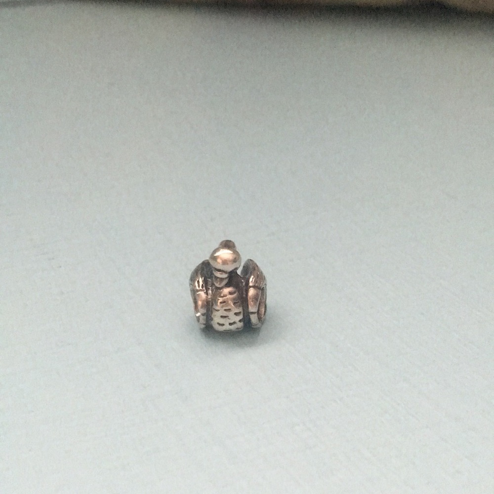 Pandora charm  ugly ducking retired